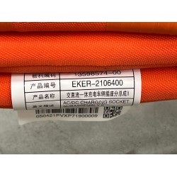 Sous-ensemble II de prise de recharge intégrée CA/CC du véhicule - BYD - 13598574-00