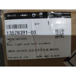 Ceinture de sécurité arrière droite - BYD - 13578391-00