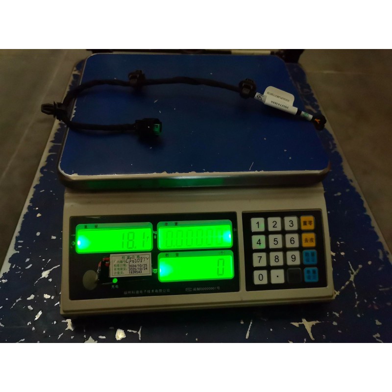 Faisceau de câbles I du compartiment avant - BYD - 13574464-00