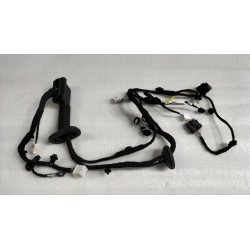 Faisceau de câbles de la portière avant droite - BYD - 13574455-00