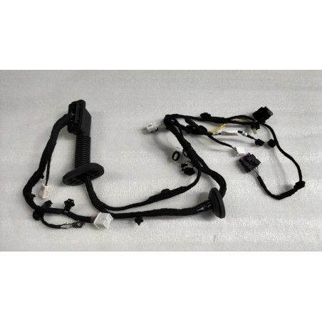 Faisceau de câbles de la portière avant droite - BYD - 13574455-00