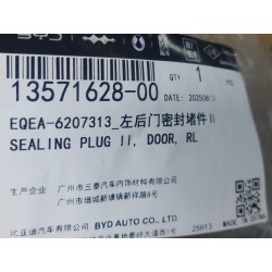 Bouchon fileté II, porte, arrière gauche - BYD - 13571628-00