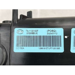 Cartouche à charbon activé. - BYD - 13568187-00
