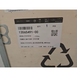 Système de batterie haute tension - BYD - 13565491-00