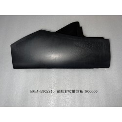 Panneau de recouvrement de la charnière droite du compartiment avant - BYD - 13559871-00