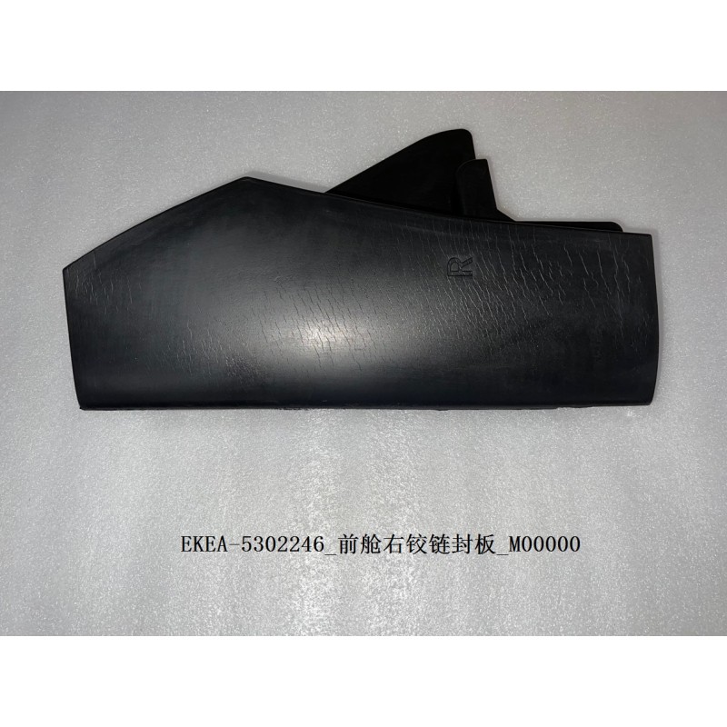 Panneau de recouvrement de la charnière droite du compartiment avant - BYD - 13559871-00