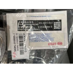 Groupe motopropulseur électrique d'entraînement arrière - BYD - 13520864-00
