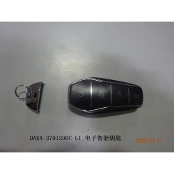 Clé intelligente électronique - BYD - 13506486-00