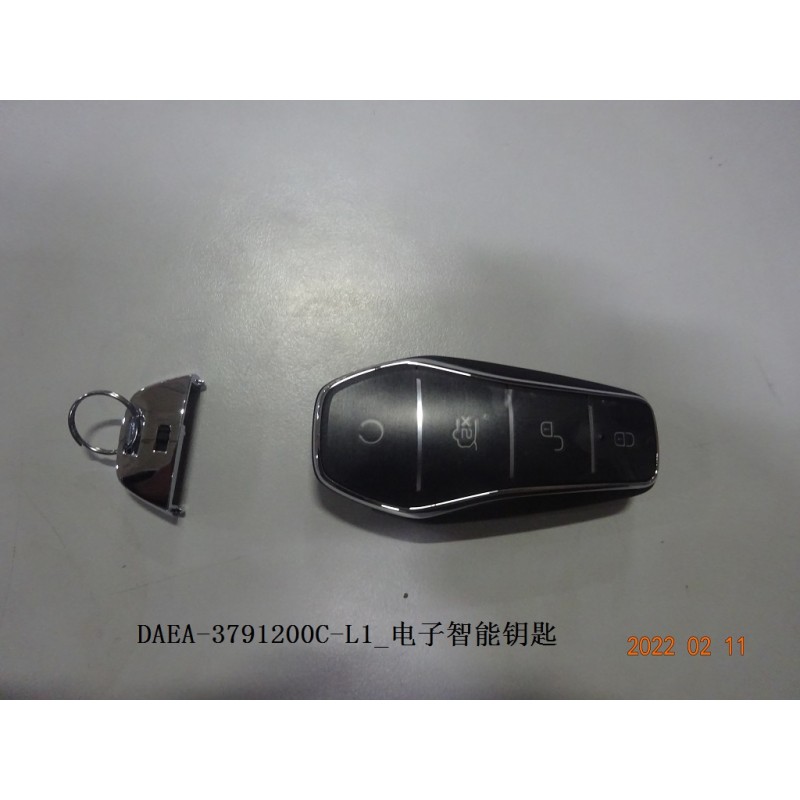 Clé intelligente électronique - BYD - 13506486-00