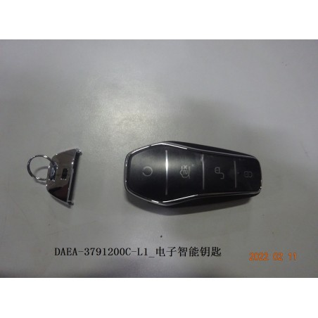 Clé intelligente électronique - BYD - 13506486-00