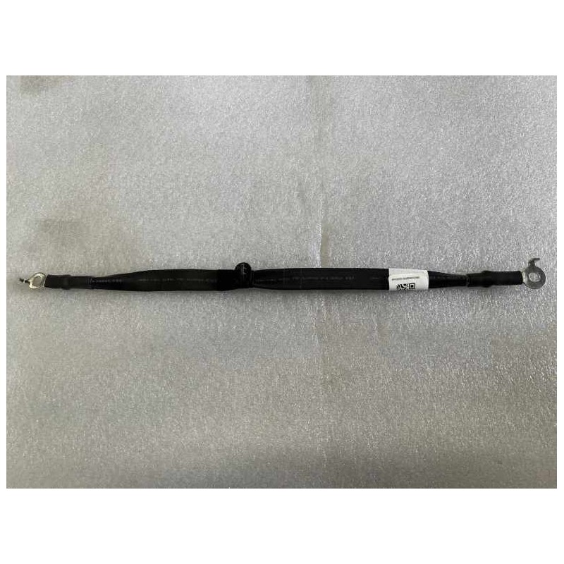 Faisceau de câbles de mise à la terre de l'unité de commande du moteur arrière - BYD - 13505417-00