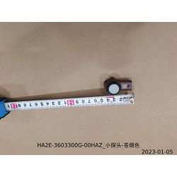 Petite sonde - Grise fumée - BYD - 13503724-00