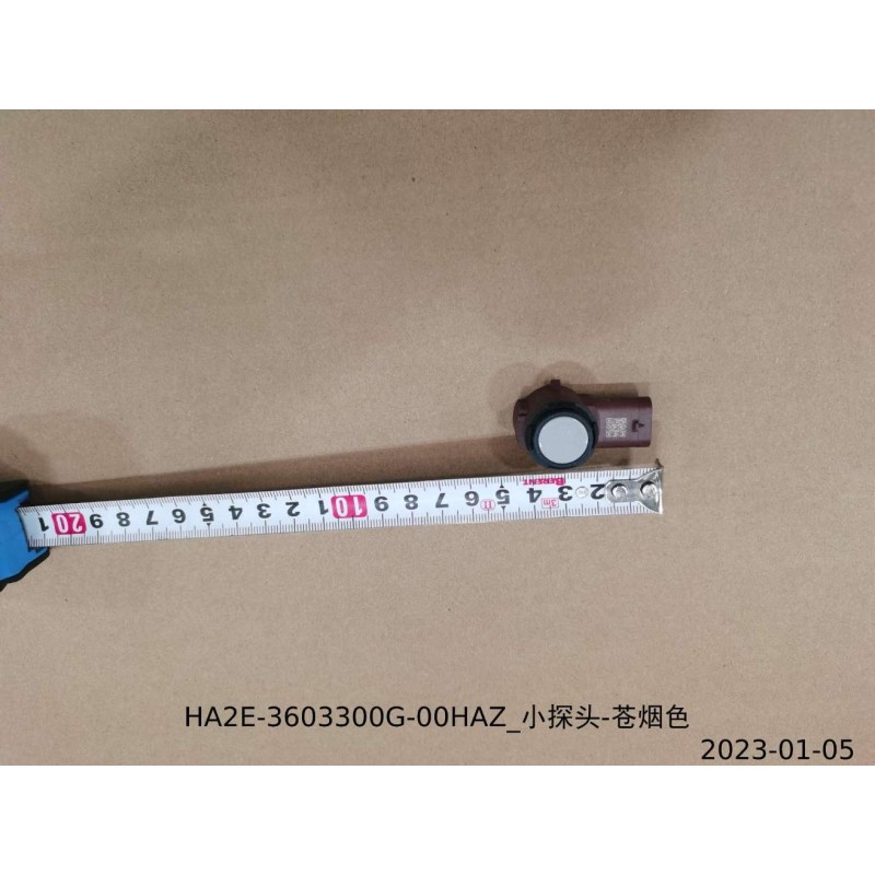 Petite sonde - Grise fumée - BYD - 13503724-00
