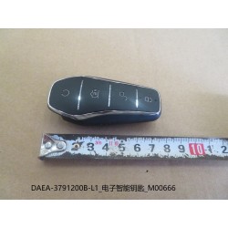 Clé intelligente électronique - BYD - 13501923-00
