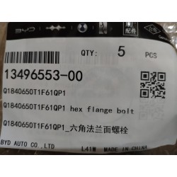 Boulon à bride hexagonale - BYD - 13496553-00