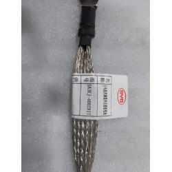 Faisceau de câbles de mise à la terre du boîtier de l'unité de commande du moteur principal - BYD - 13485861-00