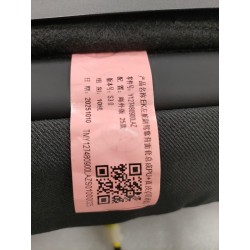Dossier de siège avant passager-Bleu LAZ - BYD - 19747299-00