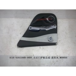 Protection de la portière arrière droite - Gris - BYD - 13473091-00