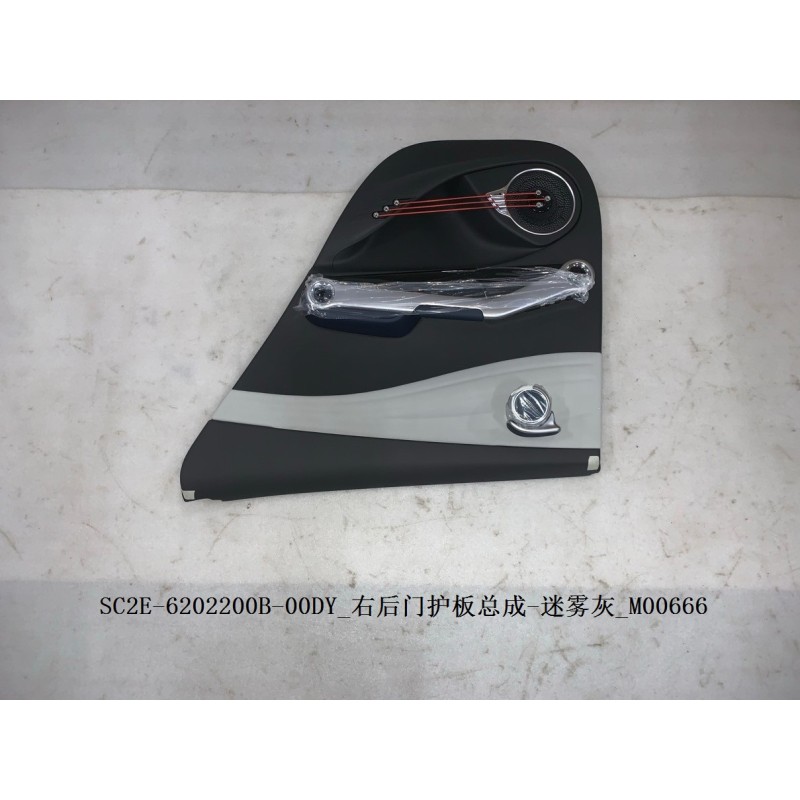 Protection de la portière arrière droite - Gris - BYD - 13473091-00