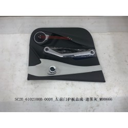 Protection de la portière avant gauche - Gris - BYD - 13473088-00