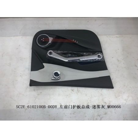 Protection de la portière avant gauche - Gris - BYD - 13473088-00