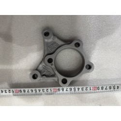 Plateau de fixation de frein arrière - BYD - 19742770-00