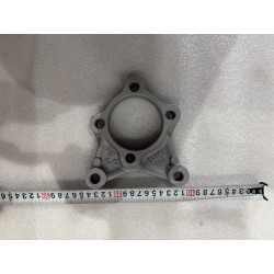 Plateau de fixation de frein arrière - BYD - 19742770-00