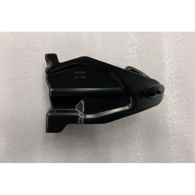 Support de dossier du siège arrière - BYD - 13456057-00