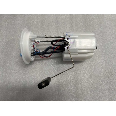 Pompe à carburant - BYD - 13448414-00