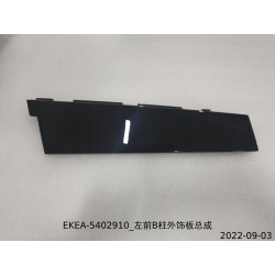 Garniture extérieure du pilier B avant gauche - BYD - 13442625-00