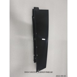 Garniture extérieure du pilier B arrière gauche - BYD - 13442623-00