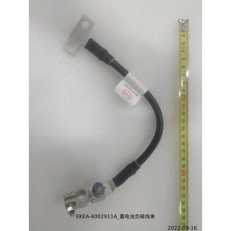 Faisceau de câbles négatif de la batterie 12 V - BYD - 13422087-00