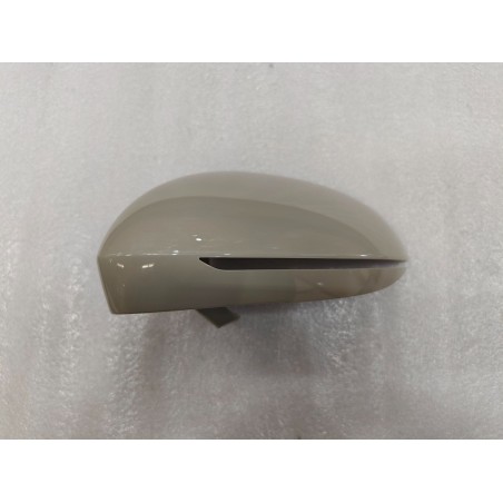 Garniture de boîtier gauche de rétroviseur extérieur - BYD - 13408076-00