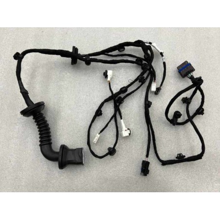 Faisceau de câbles de la portière arrière droite - BYD - 13390267-00