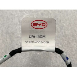Faisceau de câbles de la portière arrière droite - BYD - 13390267-00