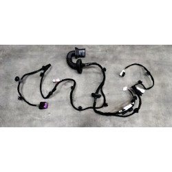 Faisceau de câbles de la portière arrière gauche - BYD - 13390266-00