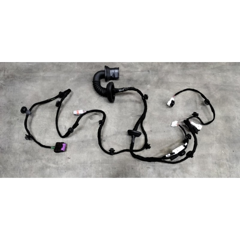 Faisceau de câbles de la portière arrière gauche - BYD - 13390266-00