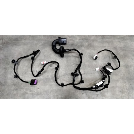 Faisceau de câbles de la portière arrière gauche - BYD - 13390266-00