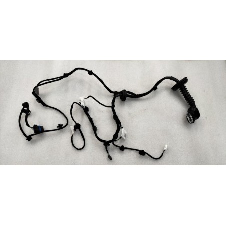 Faisceau de câbles de la portière arrière droite - BYD - 13390090-00
