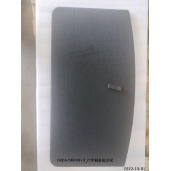 Panneau du couvercle du coffre - BYD - 13389984-00