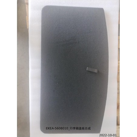 Panneau du couvercle du coffre - BYD - 13389984-00