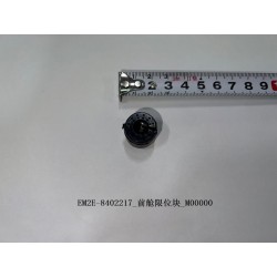 Bloc de butée du compartiment avant - BYD - 13355557-00