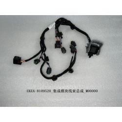 Faisceau de câbles du module intégré - BYD - 13353218-00