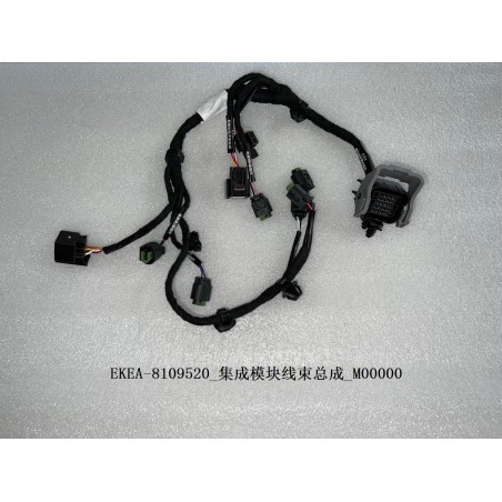 Faisceau de câbles du module intégré - BYD - 13353218-00