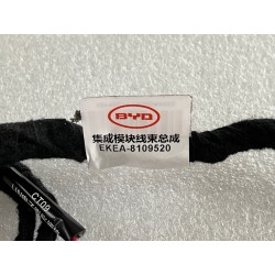 Faisceau de câbles du module intégré - BYD - 13353218-00