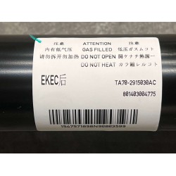 Amortisseur arrière - BYD - 13352025-00