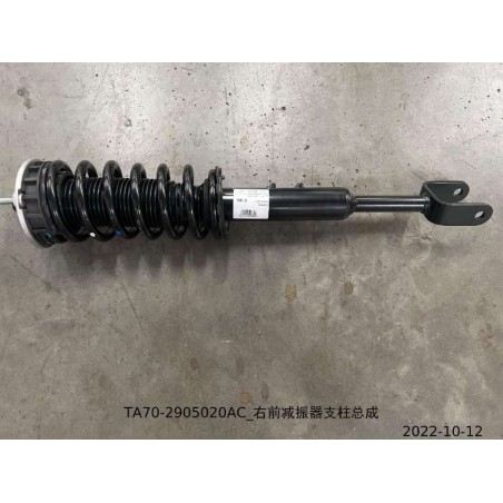 Jambe de force de l'amortisseur avant droit - BYD - 13352010-00