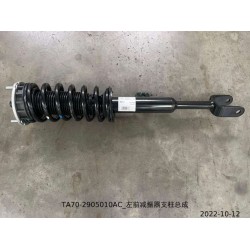 Jambe de force de l'amortisseur avant gauche - BYD - 13351989-00