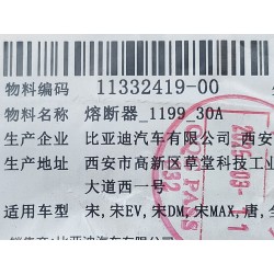 Fusible 30A - BYD - 11332419-00