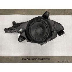 Caisson de basse - BYD - 13345482-00